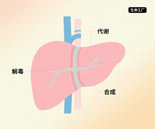 亿博(yibo)体育官网入口-ios/安卓通用版app下载